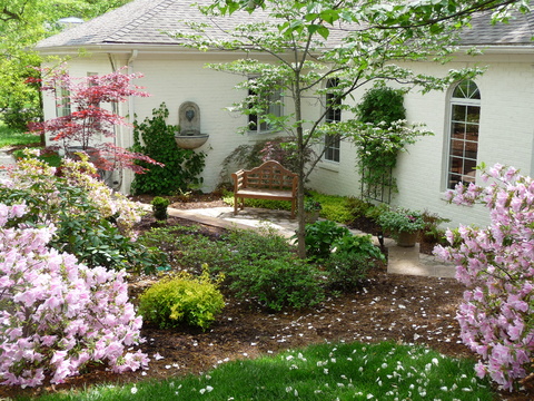 Side gardens can become a get away destination. The azaleas are blooming here in April. : Spring : Richmond VA Landscape Designer: Gardens by Monit, LLC: Monit Rosendale landscape designer Richmond and Charlottesville Virginia and Fredericksburg Virginia and Williamsburg Virginia