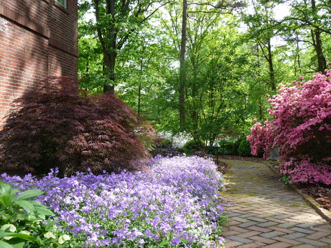 After : Before/After : Richmond VA Landscape Designer: Gardens by Monit, LLC: Monit Rosendale landscape designer Richmond and Charlottesville Virginia and Fredericksburg Virginia and Williamsburg Virginia