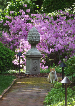 Garden statuary placement makes an impact!