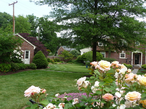 : Summer : Richmond VA Landscape Designer: Gardens by Monit, LLC: Monit Rosendale landscape designer Richmond and Charlottesville Virginia and Fredericksburg Virginia and Williamsburg Virginia