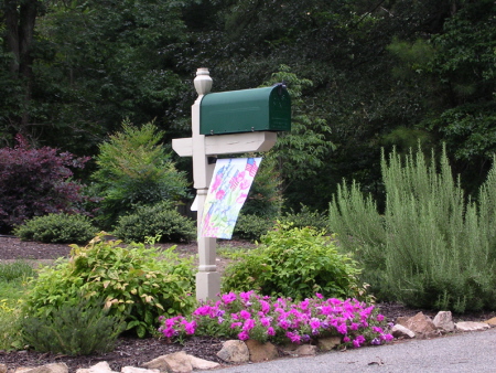 A mixed planting at The mailbox can set the tone for the property. : Summer : Richmond VA Landscape Designer: Gardens by Monit, LLC: Monit Rosendale landscape designer Richmond and Charlottesville Virginia and Fredericksburg Virginia and Williamsburg Virginia
