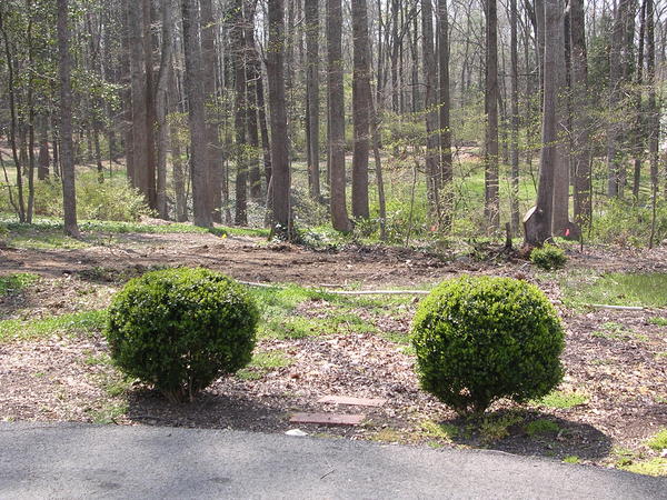 Before:<br>
It begins with a consultation on site and then a detailed design is created through inspiration. : Before/After : Richmond VA Landscape Designer: Gardens by Monit, LLC: Monit Rosendale landscape designer Richmond and Charlottesville Virginia and Fredericksburg Virginia and Williamsburg Virginia