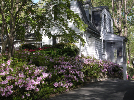 Your home should be a relaxing retreat. : Spring : Richmond VA Landscape Designer: Gardens by Monit, LLC: Monit Rosendale landscape designer Richmond and Charlottesville Virginia and Fredericksburg Virginia and Williamsburg Virginia