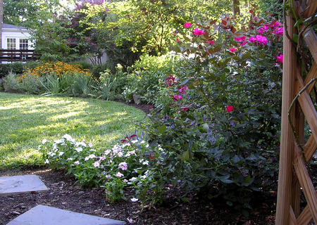 Small lawn areas are easiest to maintain. : Summer : Richmond VA Landscape Designer: Gardens by Monit, LLC: Monit Rosendale landscape designer Richmond and Charlottesville Virginia and Fredericksburg Virginia and Williamsburg Virginia
