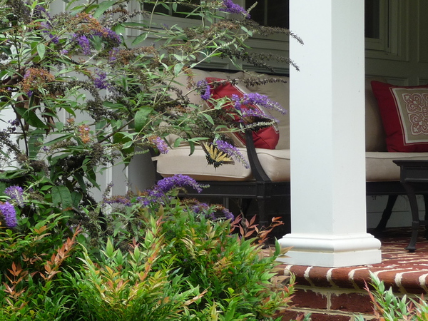 : Foundations : Richmond VA Landscape Designer: Gardens by Monit, LLC: Monit Rosendale landscape designer Richmond and Charlottesville Virginia and Fredericksburg Virginia and Williamsburg Virginia