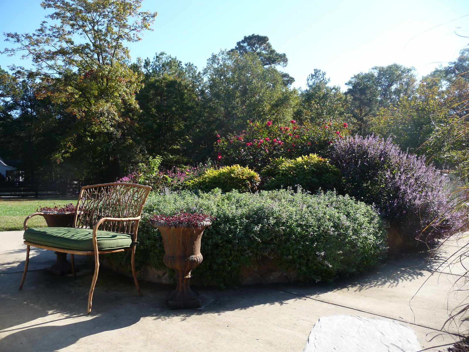  : Summer : Richmond VA Landscape Designer: Gardens by Monit, LLC: Monit Rosendale landscape designer Richmond and Charlottesville Virginia and Fredericksburg Virginia and Williamsburg Virginia