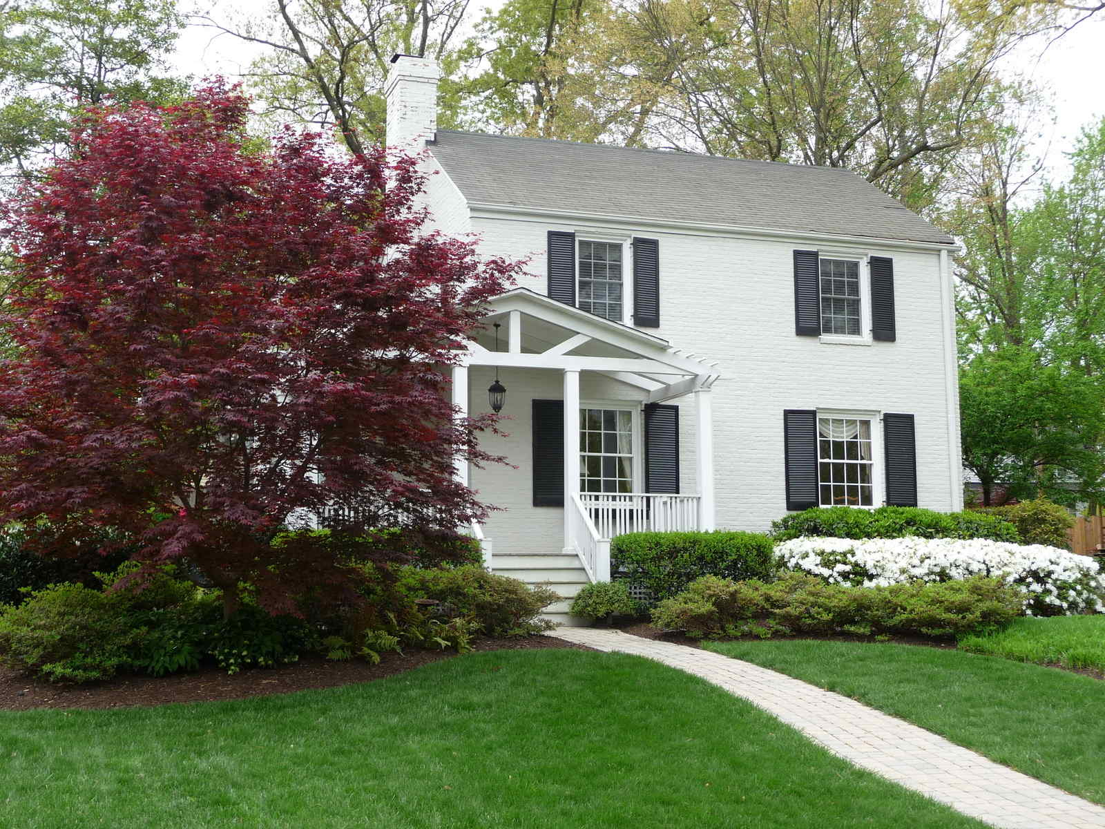 After:<br>
Soil preparation and layers of plants do the trick. : Before/After : Richmond VA Landscape Designer: Gardens by Monit, LLC: Monit Rosendale landscape designer Richmond and Charlottesville Virginia and Fredericksburg Virginia and Williamsburg Virginia