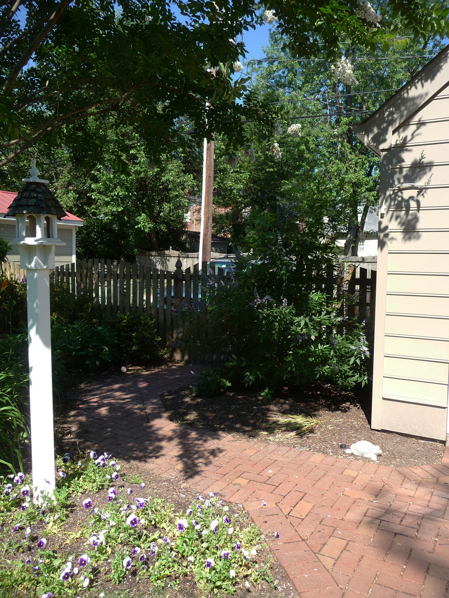 Before : Before/After : Richmond VA Landscape Designer: Gardens by Monit, LLC: Monit Rosendale landscape designer Richmond and Charlottesville Virginia and Fredericksburg Virginia and Williamsburg Virginia