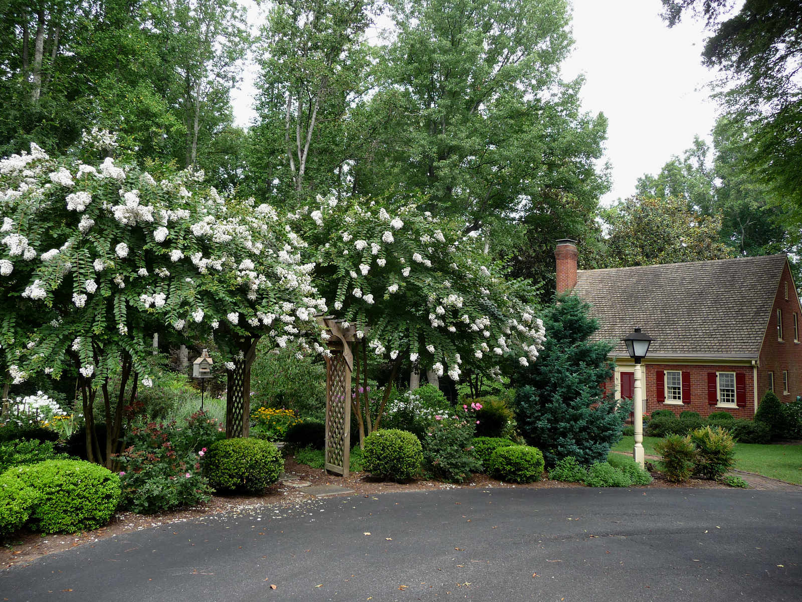  : Summer : Richmond VA Landscape Designer: Gardens by Monit, LLC: Monit Rosendale landscape designer Richmond and Charlottesville Virginia and Fredericksburg Virginia and Williamsburg Virginia