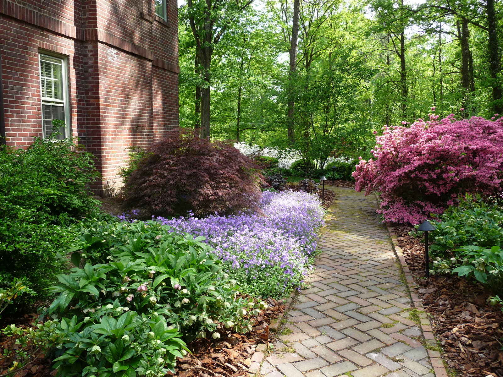  : Foundations : Richmond VA Landscape Designer: Gardens by Monit, LLC: Monit Rosendale landscape designer Richmond and Charlottesville Virginia and Fredericksburg Virginia and Williamsburg Virginia