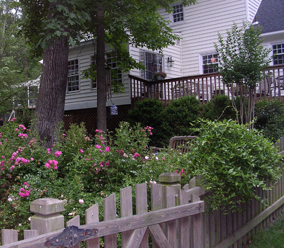  : Summer : Richmond VA Landscape Designer: Gardens by Monit, LLC: Monit Rosendale landscape designer Richmond and Charlottesville Virginia and Fredericksburg Virginia and Williamsburg Virginia