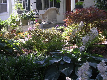 Surrounding  intimate seating areas with plants will make it your favorite place relax. : Summer : Richmond VA Landscape Designer: Gardens by Monit, LLC: Monit Rosendale landscape designer Richmond and Charlottesville Virginia and Fredericksburg Virginia and Williamsburg Virginia