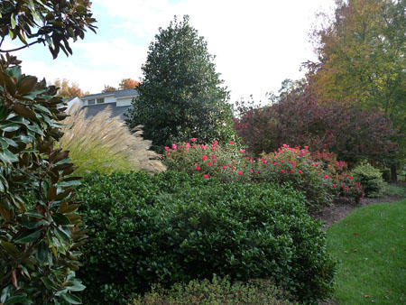  : Autumn : Richmond VA Landscape Designer: Gardens by Monit, LLC: Monit Rosendale landscape designer Richmond and Charlottesville Virginia and Fredericksburg Virginia and Williamsburg Virginia