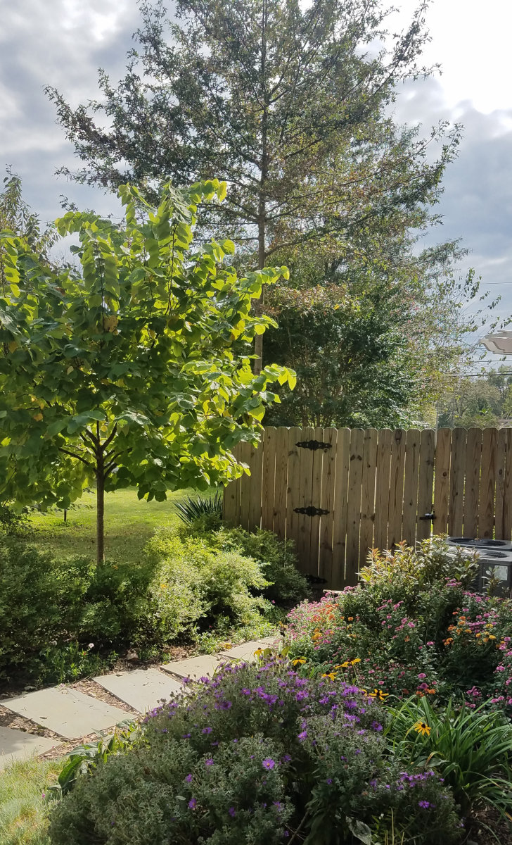  : Gardens : Richmond VA Landscape Designer: Gardens by Monit, LLC: Monit Rosendale landscape designer Richmond and Charlottesville Virginia and Fredericksburg Virginia and Williamsburg Virginia