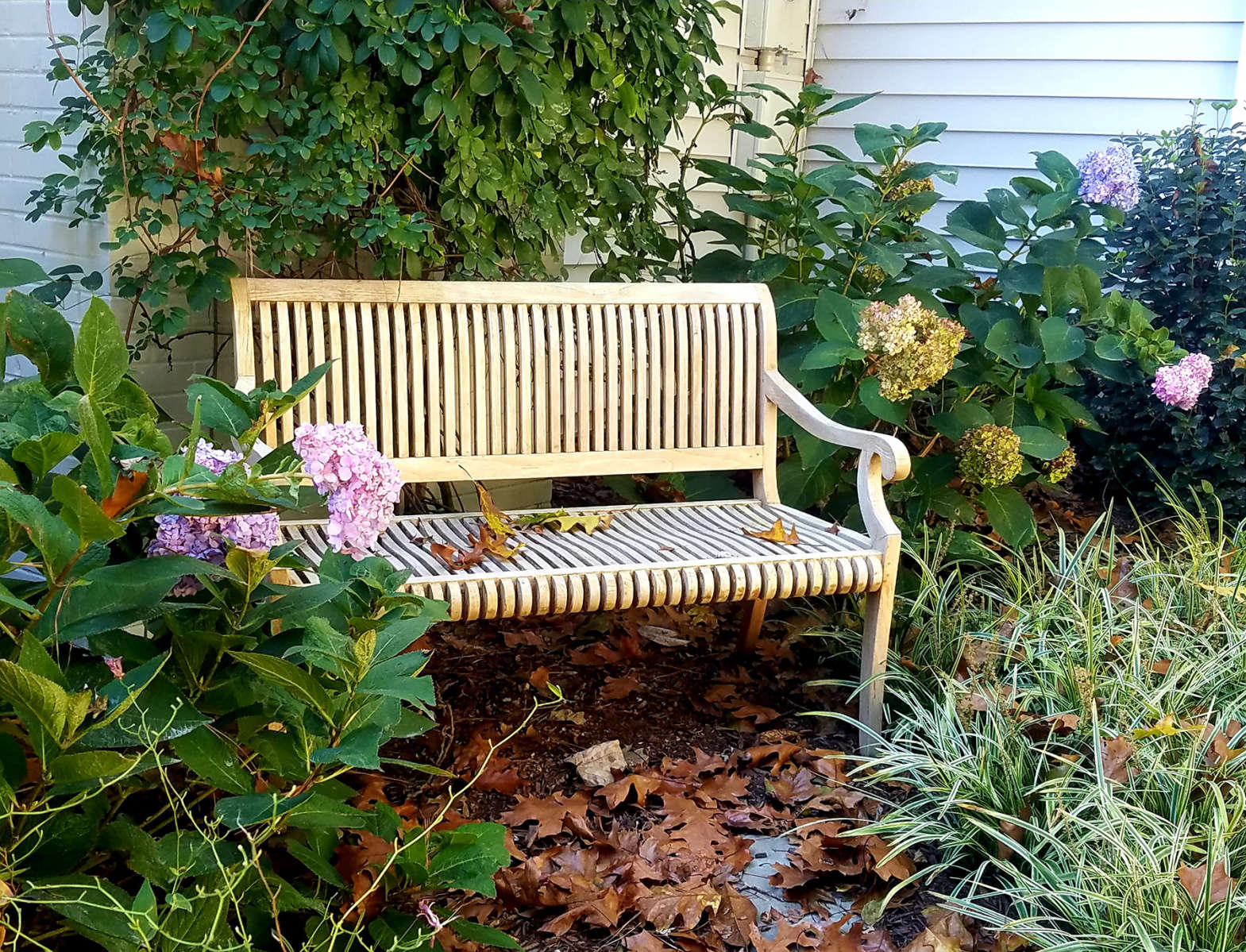  : Autumn : Richmond VA Landscape Designer: Gardens by Monit, LLC: Monit Rosendale landscape designer Richmond and Charlottesville Virginia and Fredericksburg Virginia and Williamsburg Virginia
