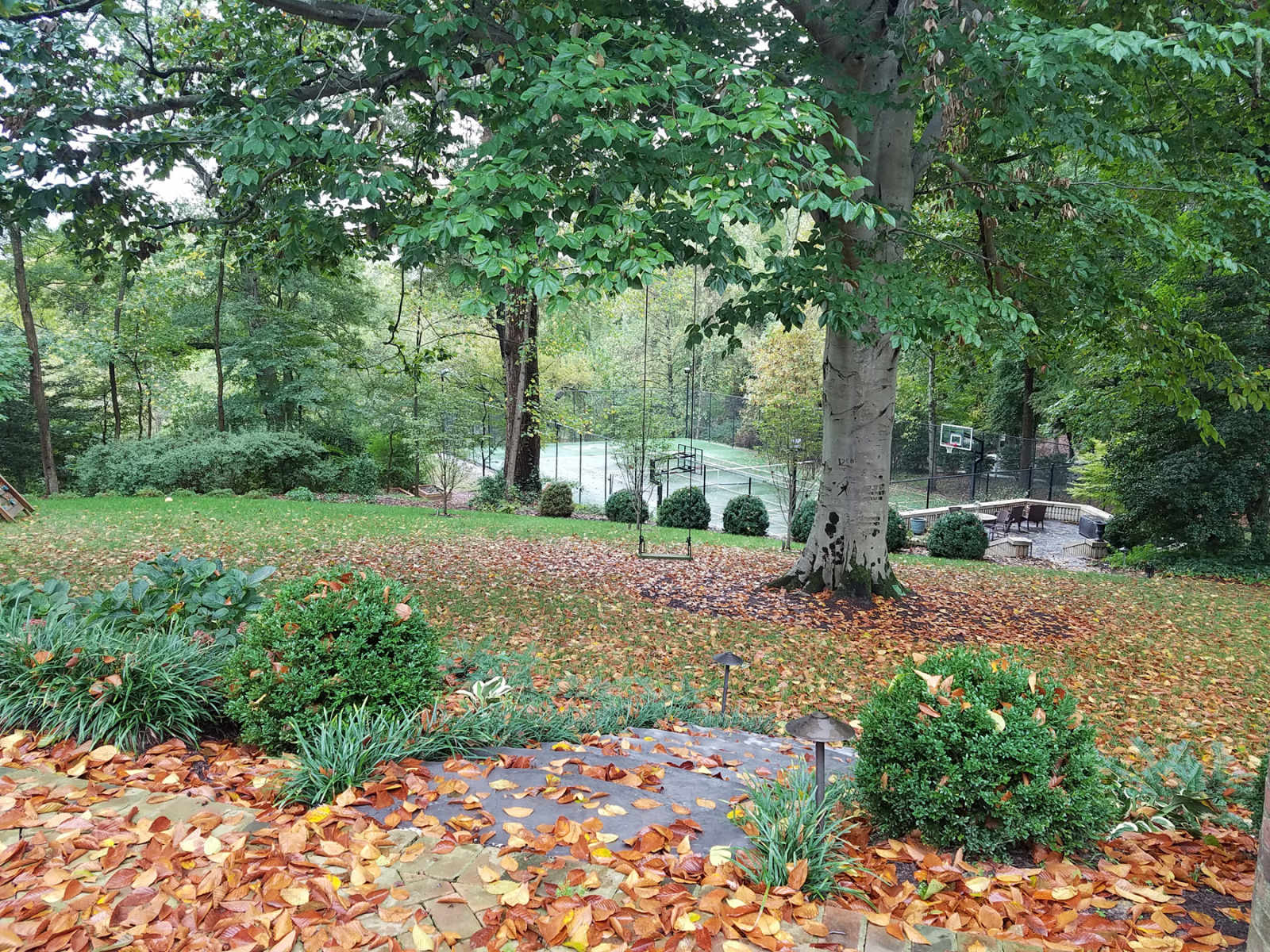  : Autumn : Richmond VA Landscape Designer: Gardens by Monit, LLC: Monit Rosendale landscape designer Richmond and Charlottesville Virginia and Fredericksburg Virginia and Williamsburg Virginia