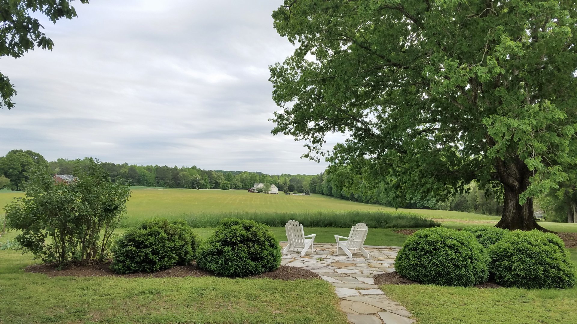 After. Room with a view. : Before/After : Richmond VA Landscape Designer: Gardens by Monit, LLC: Monit Rosendale landscape designer Richmond and Charlottesville Virginia and Fredericksburg Virginia and Williamsburg Virginia