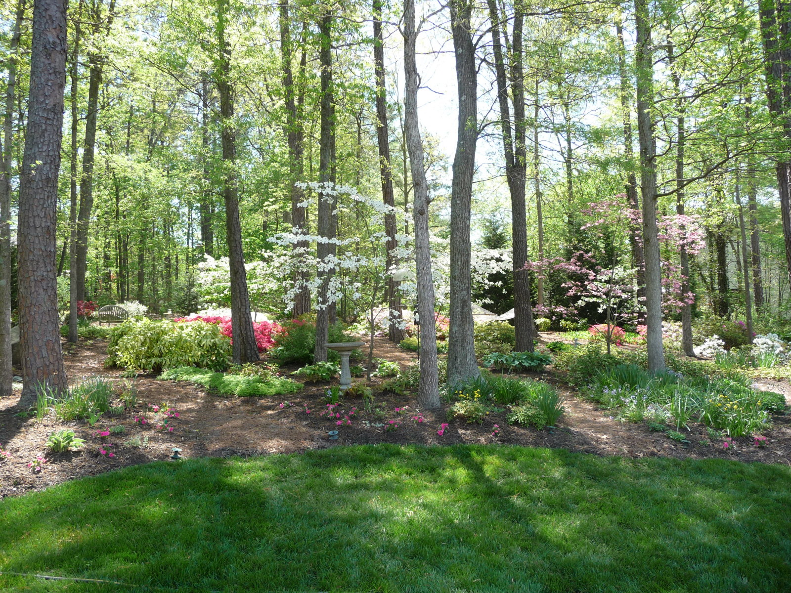  : Gardens : Richmond VA Landscape Designer: Gardens by Monit, LLC: Monit Rosendale landscape designer Richmond and Charlottesville Virginia and Fredericksburg Virginia and Williamsburg Virginia