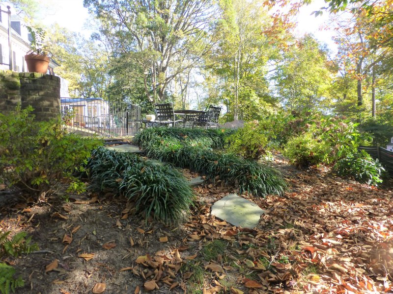 Before: No access. : Before/After : Richmond VA Landscape Designer: Gardens by Monit, LLC: Monit Rosendale landscape designer Richmond and Charlottesville Virginia and Fredericksburg Virginia and Williamsburg Virginia