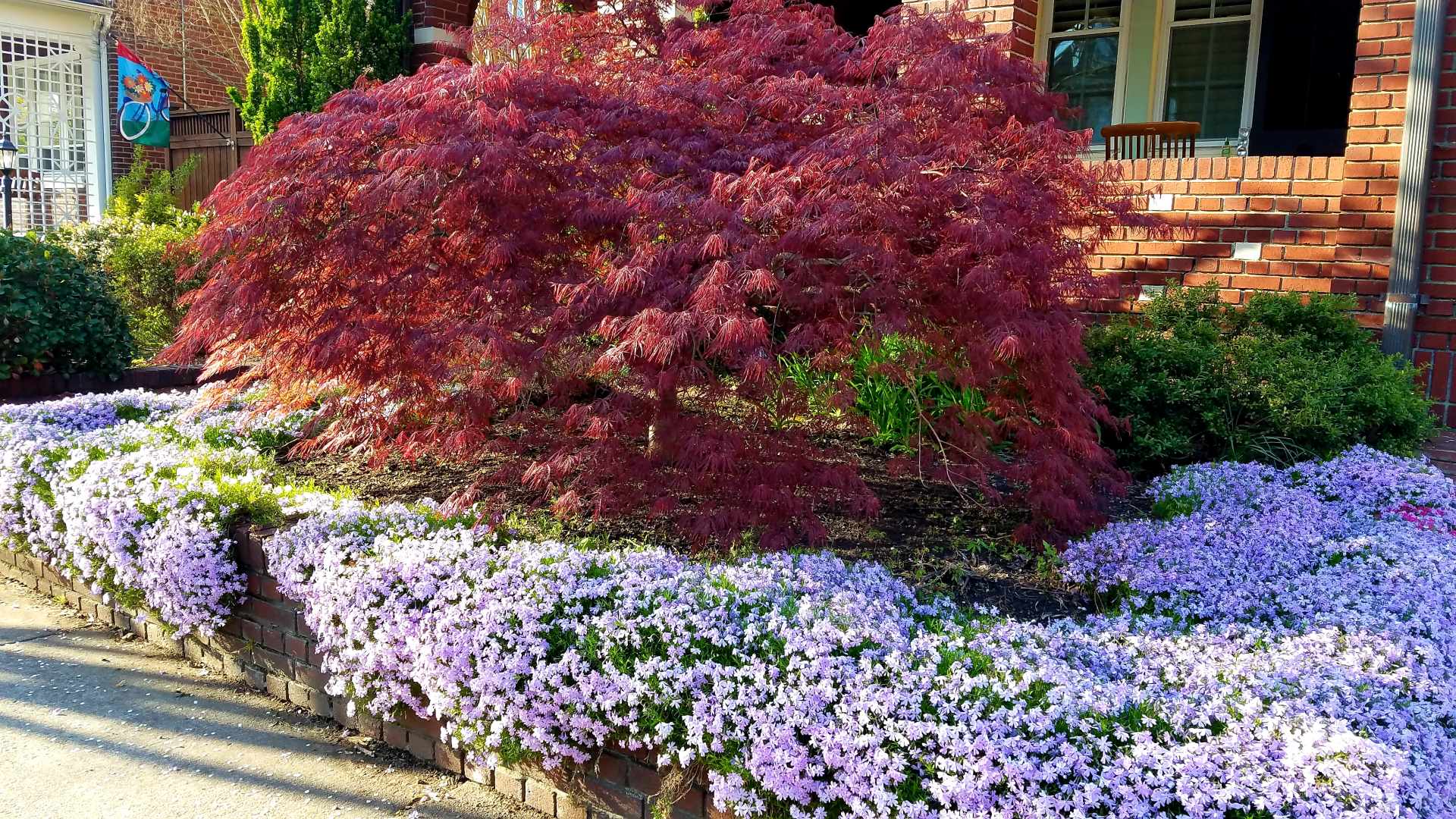  : Foundations : Richmond VA Landscape Designer: Gardens by Monit, LLC: Monit Rosendale landscape designer Richmond and Charlottesville Virginia and Fredericksburg Virginia and Williamsburg Virginia