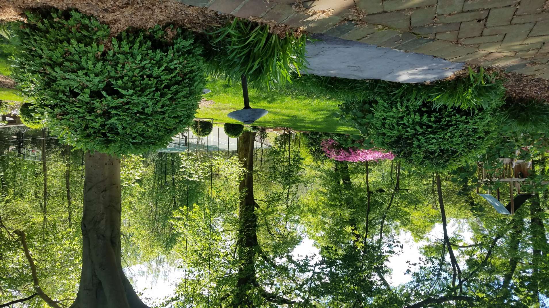  : Gardens : Richmond VA Landscape Designer: Gardens by Monit, LLC: Monit Rosendale landscape designer Richmond and Charlottesville Virginia and Fredericksburg Virginia and Williamsburg Virginia