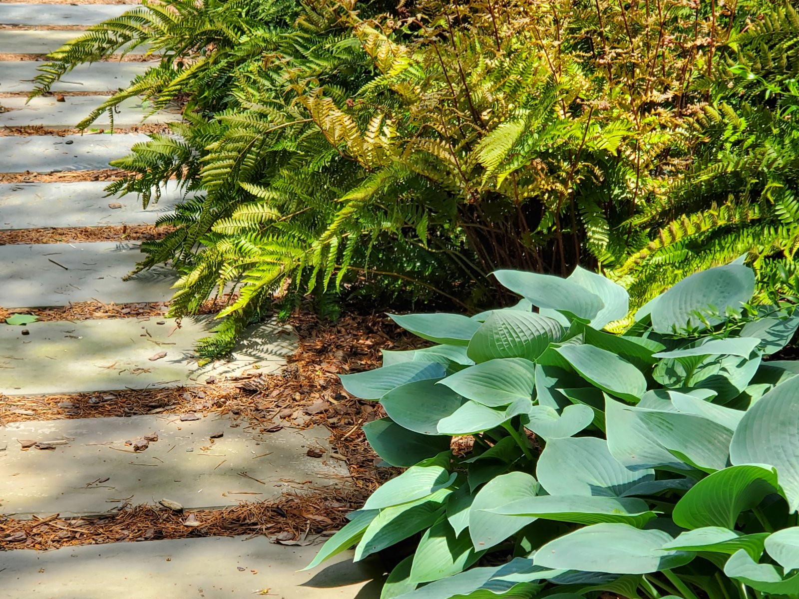  : Spring : Richmond VA Landscape Designer: Gardens by Monit, LLC: Monit Rosendale landscape designer Richmond and Charlottesville Virginia and Fredericksburg Virginia and Williamsburg Virginia