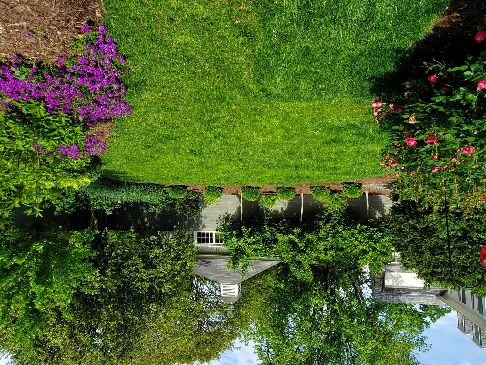 After : Before/After : Richmond VA Landscape Designer: Gardens by Monit, LLC: Monit Rosendale landscape designer Richmond and Charlottesville Virginia and Fredericksburg Virginia and Williamsburg Virginia