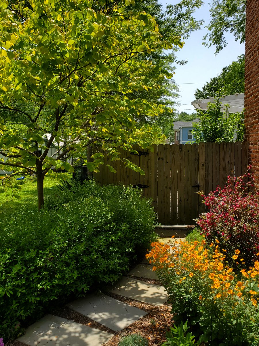 Bluestone rectangular pavers and new garden.