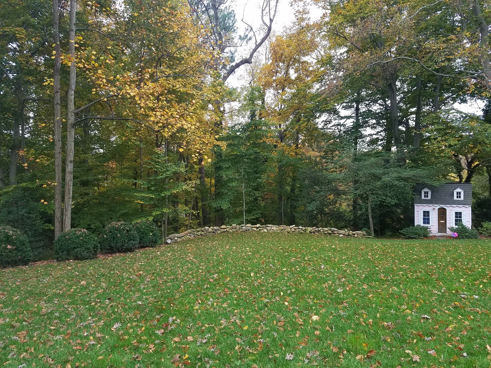 After: The retaining wall is rebuilt, new plants and fresh sod. : Before/After : Richmond VA Landscape Designer: Gardens by Monit, LLC: Monit Rosendale landscape designer Richmond and Charlottesville Virginia and Fredericksburg Virginia and Williamsburg Virginia