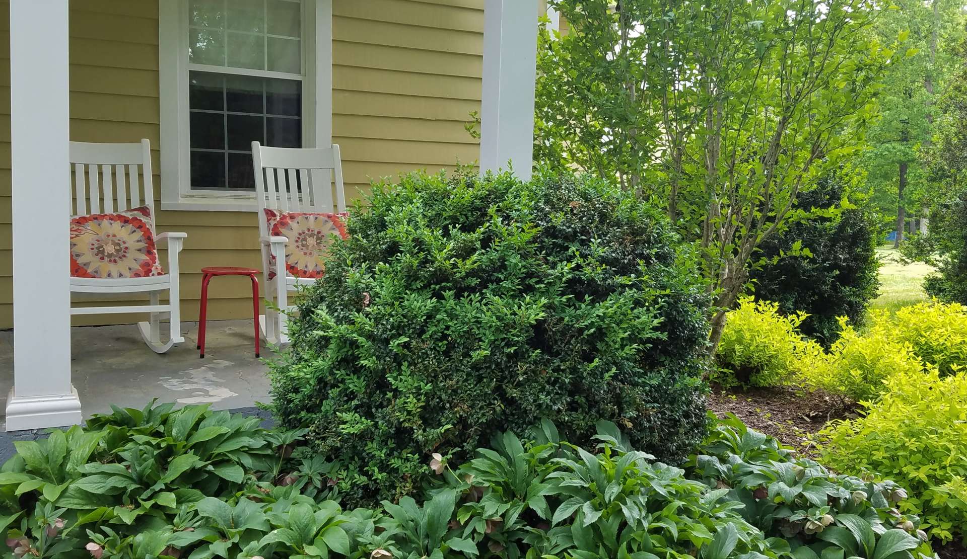  : Foundations : Richmond VA Landscape Designer: Gardens by Monit, LLC: Monit Rosendale landscape designer Richmond and Charlottesville Virginia and Fredericksburg Virginia and Williamsburg Virginia