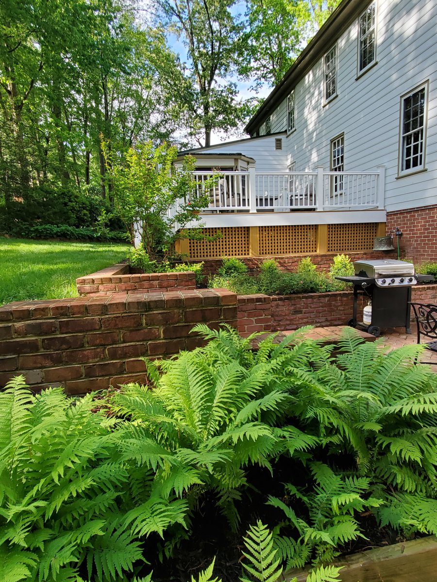 After: New brick retaining wall to address the slope and drainage, new deck and updated patio and stairs to the lawn. : Before/After : Richmond VA Landscape Designer: Gardens by Monit, LLC: Monit Rosendale landscape designer Richmond and Charlottesville Virginia and Fredericksburg Virginia and Williamsburg Virginia