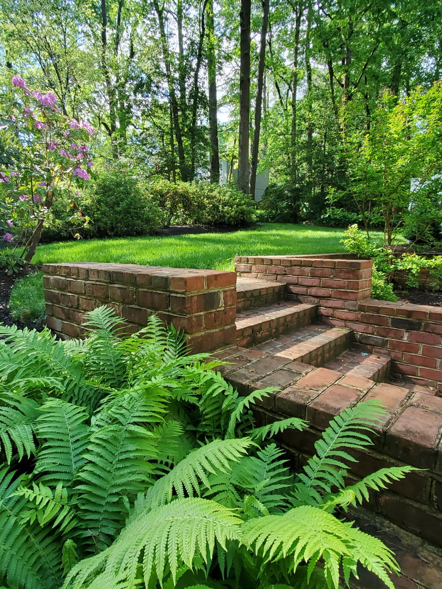 New brick steps and retaining walls. : Pavers & Stone : Richmond VA Landscape Designer: Gardens by Monit, LLC: Monit Rosendale landscape designer Richmond and Charlottesville Virginia and Fredericksburg Virginia and Williamsburg Virginia
