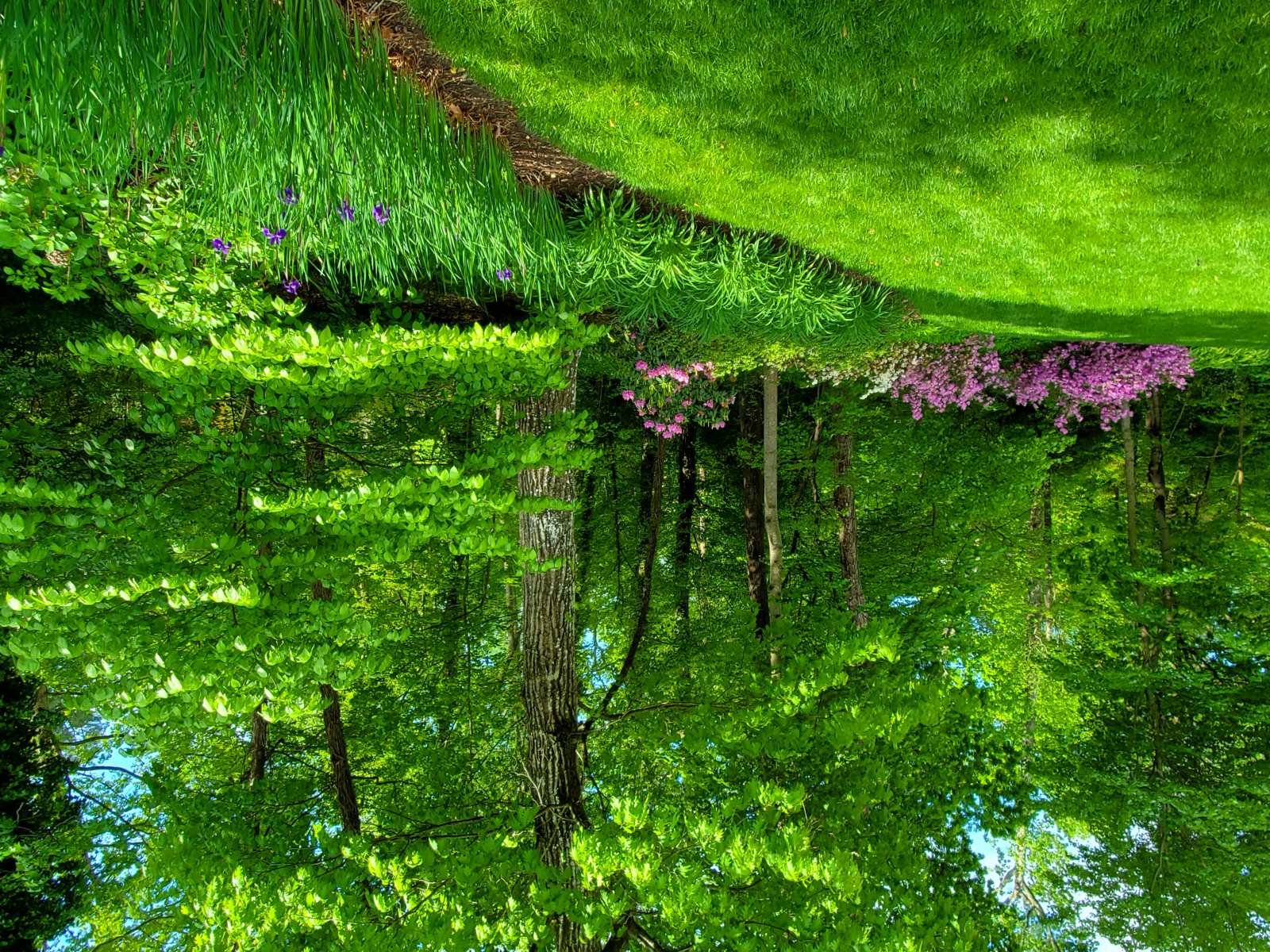  : Gardens : Richmond VA Landscape Designer: Gardens by Monit, LLC: Monit Rosendale landscape designer Richmond and Charlottesville Virginia and Fredericksburg Virginia and Williamsburg Virginia