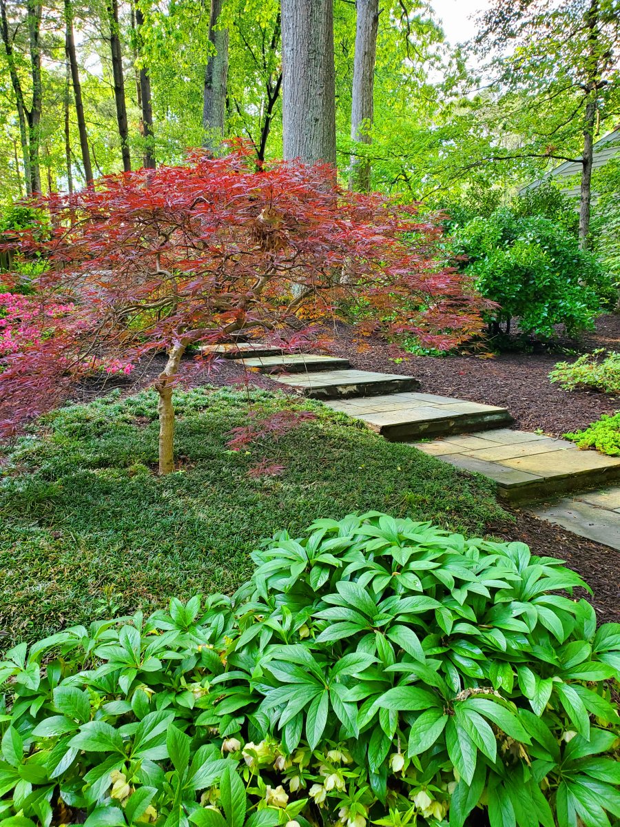 Pattern bluestone steps.