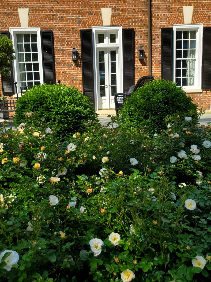  : Spring : Richmond VA Landscape Designer: Gardens by Monit, LLC: Monit Rosendale landscape designer Richmond and Charlottesville Virginia and Fredericksburg Virginia and Williamsburg Virginia