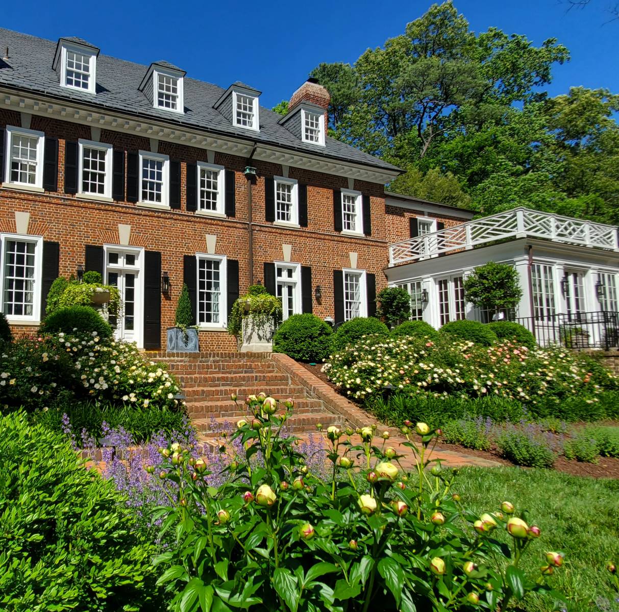 After : Before/After : Richmond VA Landscape Designer: Gardens by Monit, LLC: Monit Rosendale landscape designer Richmond and Charlottesville Virginia and Fredericksburg Virginia and Williamsburg Virginia