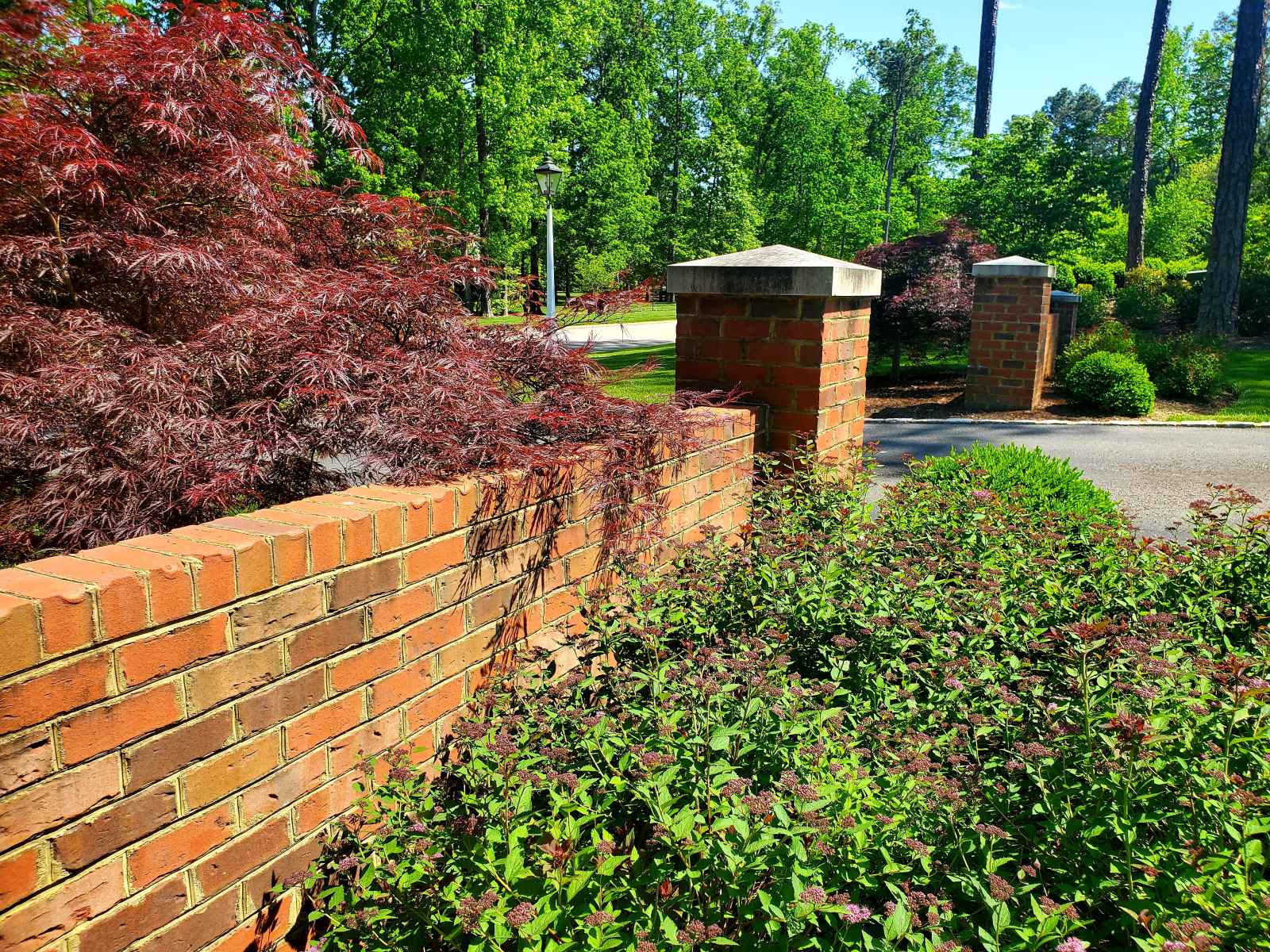  : Gardens : Richmond VA Landscape Designer: Gardens by Monit, LLC: Monit Rosendale landscape designer Richmond and Charlottesville Virginia and Fredericksburg Virginia and Williamsburg Virginia