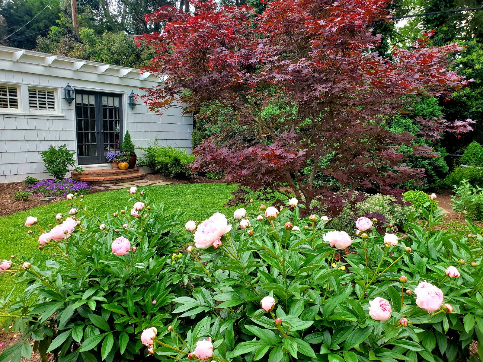 After : Before/After : Richmond VA Landscape Designer: Gardens by Monit, LLC: Monit Rosendale landscape designer Richmond and Charlottesville Virginia and Fredericksburg Virginia and Williamsburg Virginia