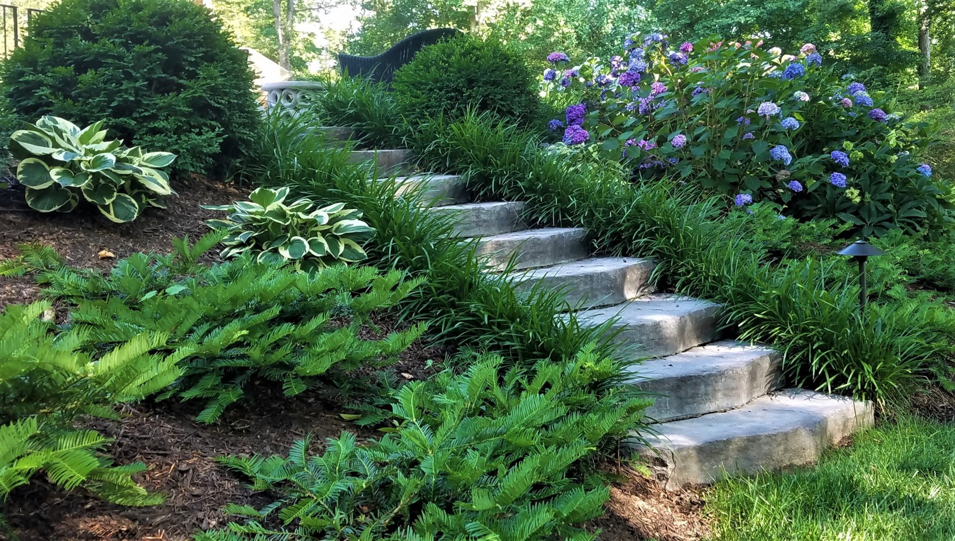 Newline cast steps are the solution and plantings to stabilize the slope. : Pavers & Stone : Richmond VA Landscape Designer: Gardens by Monit, LLC: Monit Rosendale landscape designer Richmond and Charlottesville Virginia and Fredericksburg Virginia and Williamsburg Virginia