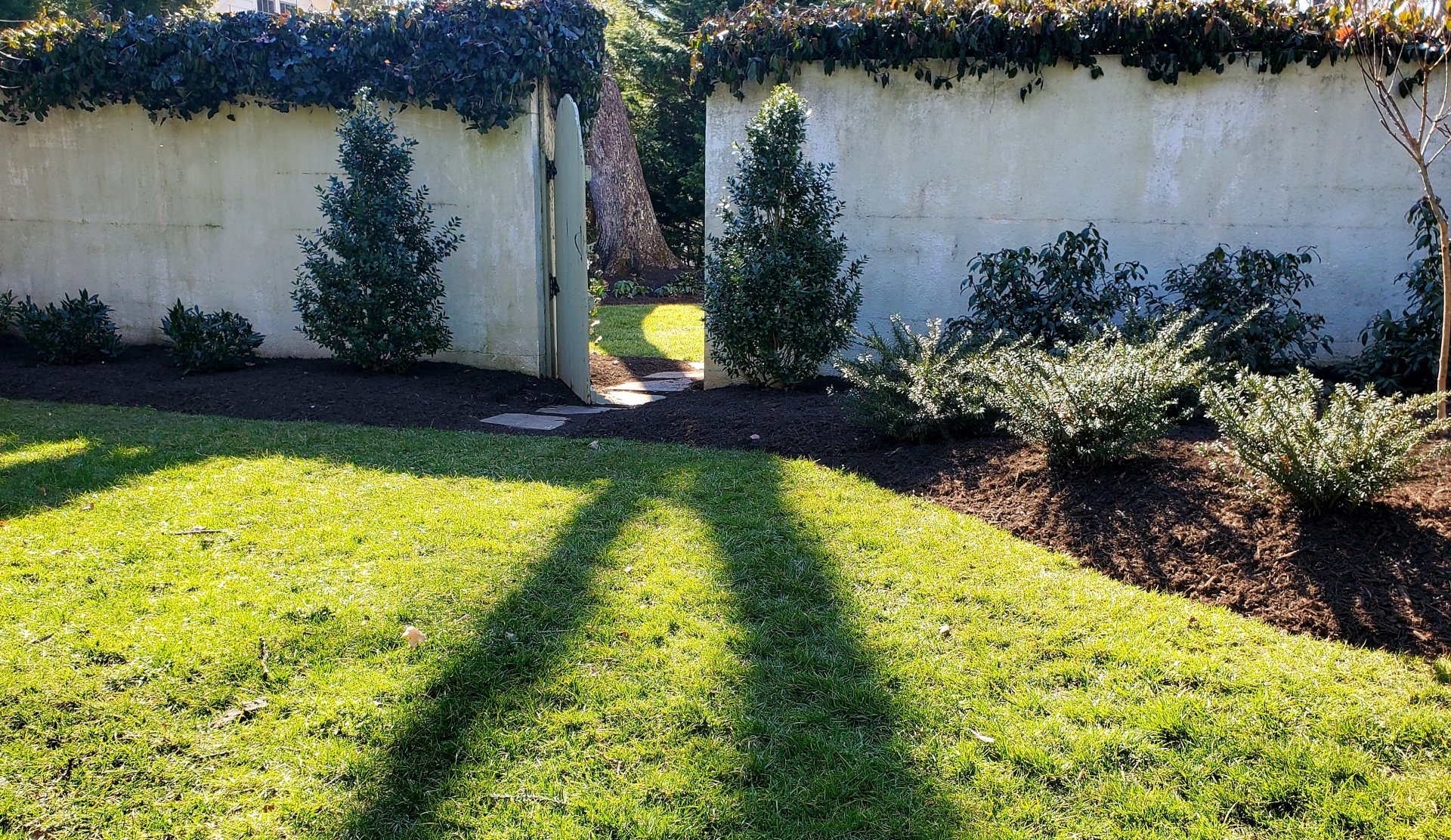Symmetry. : Winter : Richmond VA Landscape Designer: Gardens by Monit, LLC: Monit Rosendale landscape designer Richmond and Charlottesville Virginia and Fredericksburg Virginia and Williamsburg Virginia