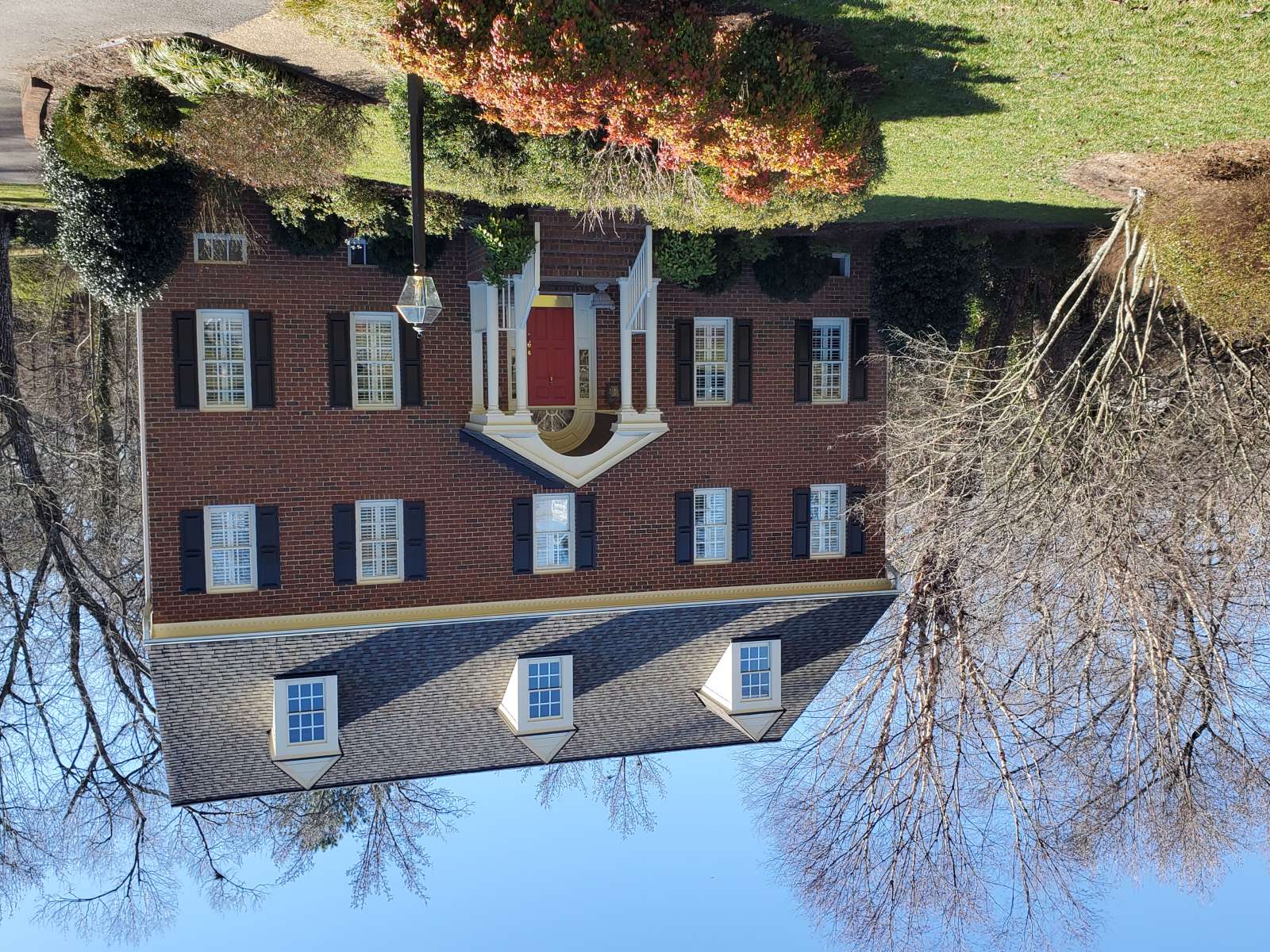 A bright January day. : Winter : Richmond VA Landscape Designer: Gardens by Monit, LLC: Monit Rosendale landscape designer Richmond and Charlottesville Virginia and Fredericksburg Virginia and Williamsburg Virginia