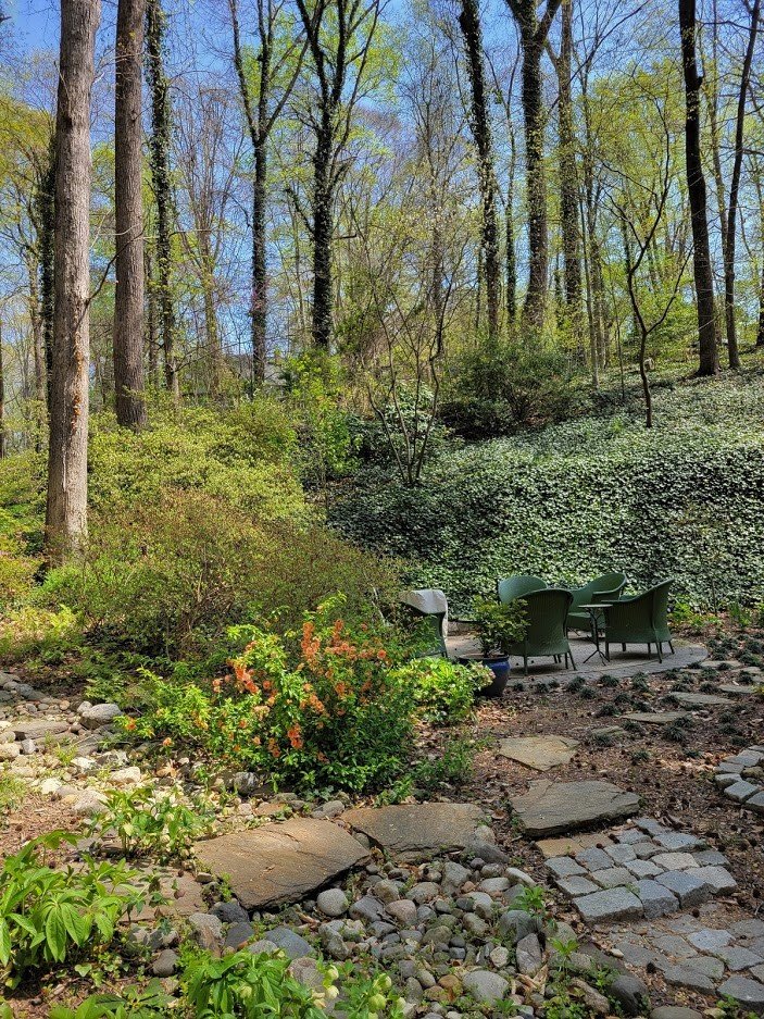  : Gardens : Richmond VA Landscape Designer: Gardens by Monit, LLC: Monit Rosendale landscape designer Richmond and Charlottesville Virginia and Fredericksburg Virginia and Williamsburg Virginia