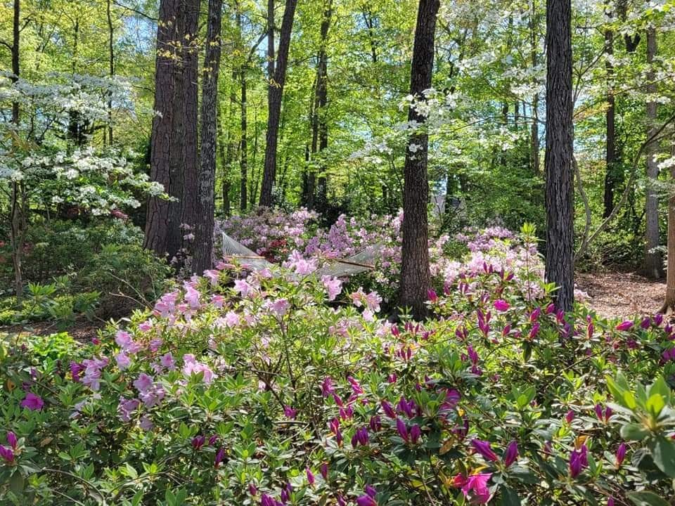  : Spring : Richmond VA Landscape Designer: Gardens by Monit, LLC: Monit Rosendale landscape designer Richmond and Charlottesville Virginia and Fredericksburg Virginia and Williamsburg Virginia