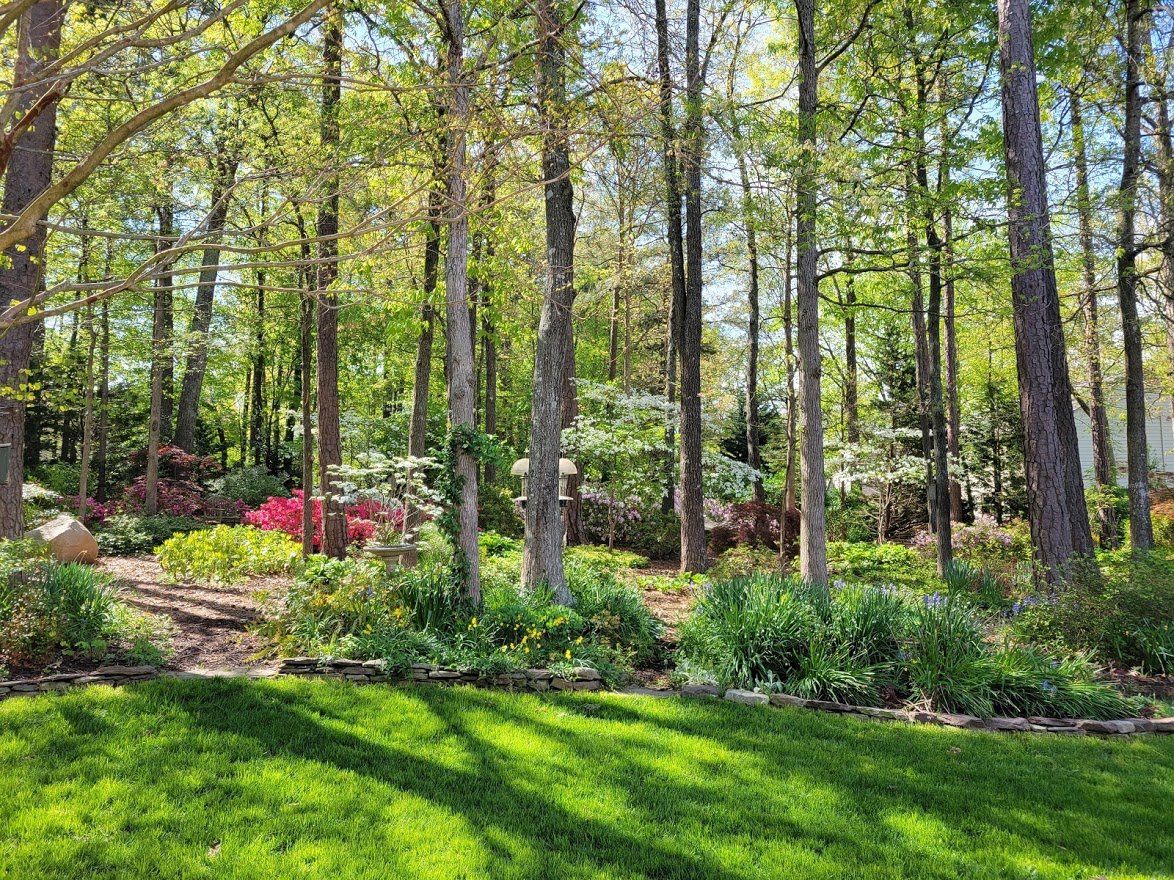  : Gardens : Richmond VA Landscape Designer: Gardens by Monit, LLC: Monit Rosendale landscape designer Richmond and Charlottesville Virginia and Fredericksburg Virginia and Williamsburg Virginia