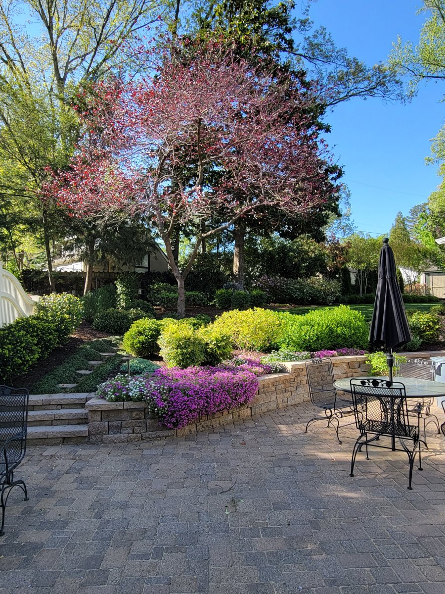  : Gardens : Richmond VA Landscape Designer: Gardens by Monit, LLC: Monit Rosendale landscape designer Richmond and Charlottesville Virginia and Fredericksburg Virginia and Williamsburg Virginia