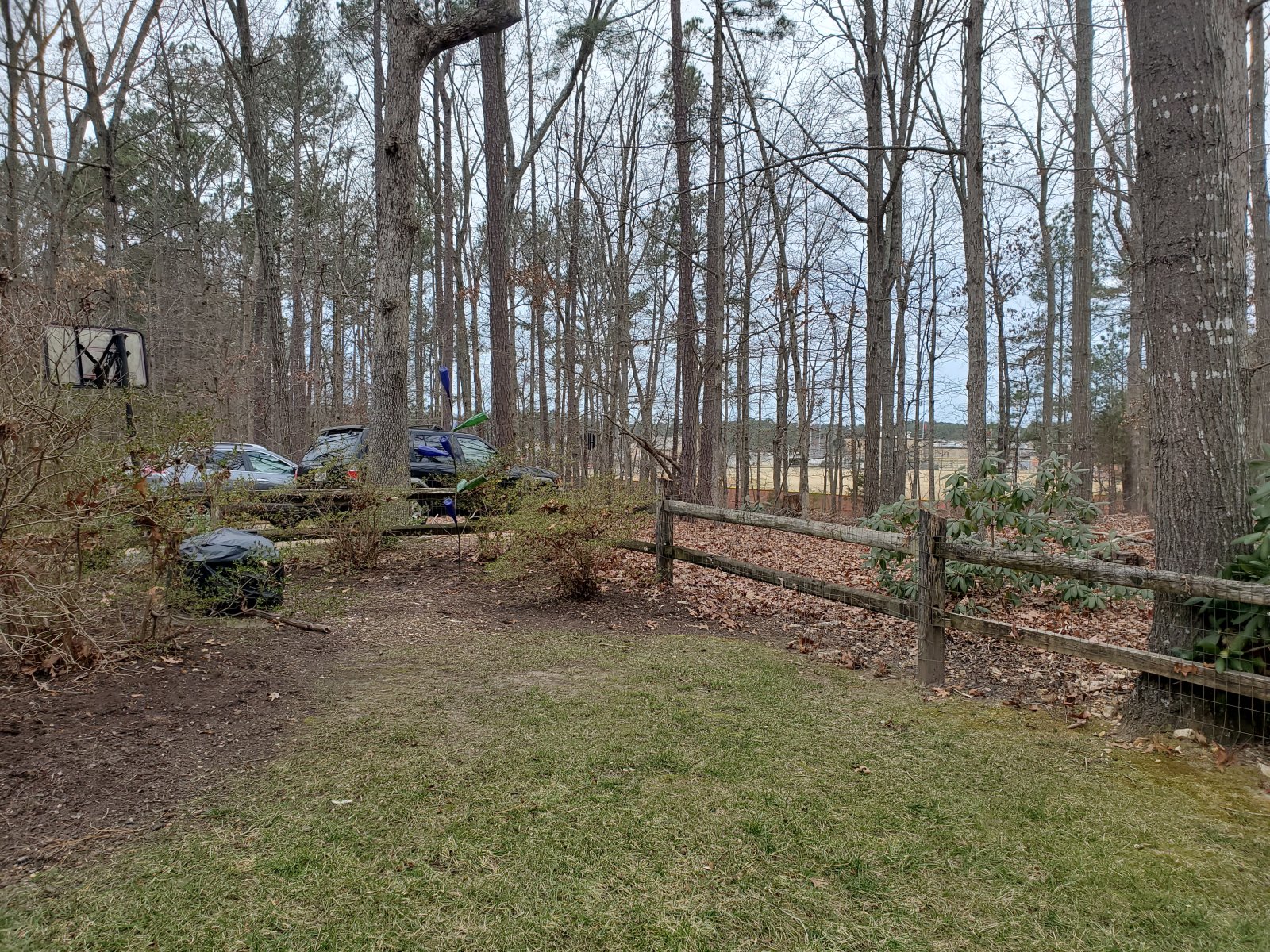 Before : Before/After : Richmond VA Landscape Designer: Gardens by Monit, LLC: Monit Rosendale landscape designer Richmond and Charlottesville Virginia and Fredericksburg Virginia and Williamsburg Virginia