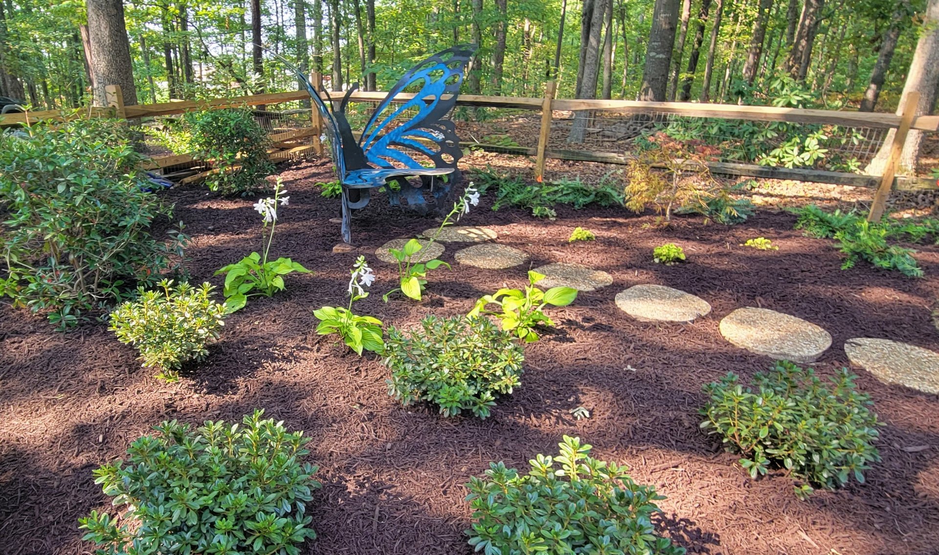 After: Just after planting. I designed a destination with seasonal interest. : Before/After : Richmond VA Landscape Designer: Gardens by Monit, LLC: Monit Rosendale landscape designer Richmond and Charlottesville Virginia and Fredericksburg Virginia and Williamsburg Virginia