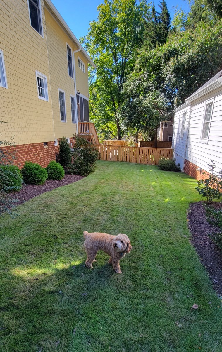 After : Before/After : Richmond VA Landscape Designer: Gardens by Monit, LLC: Monit Rosendale landscape designer Richmond and Charlottesville Virginia and Fredericksburg Virginia and Williamsburg Virginia