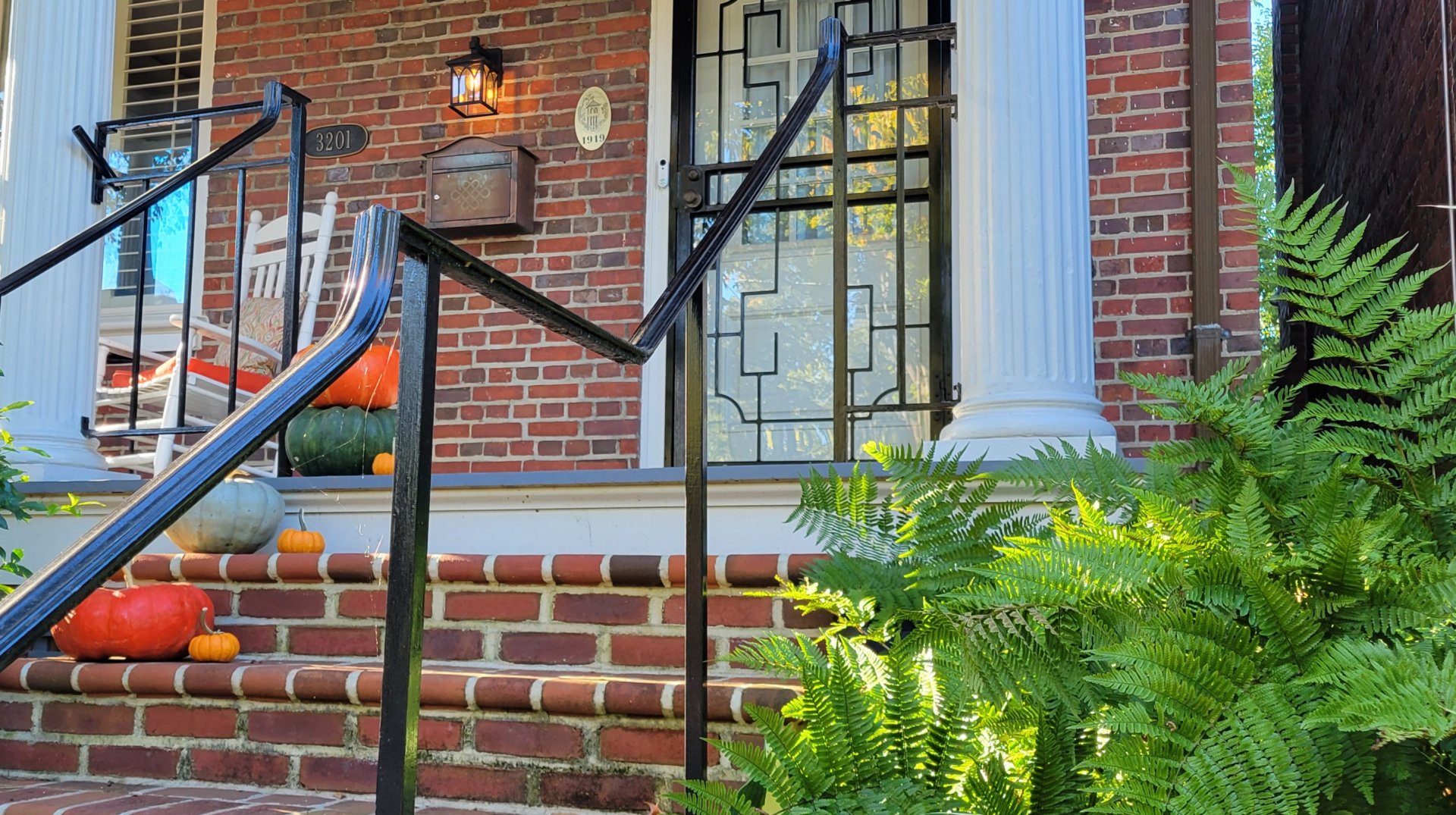 Autumn Fern : Autumn : Richmond VA Landscape Designer: Gardens by Monit, LLC: Monit Rosendale landscape designer Richmond and Charlottesville Virginia and Fredericksburg Virginia and Williamsburg Virginia