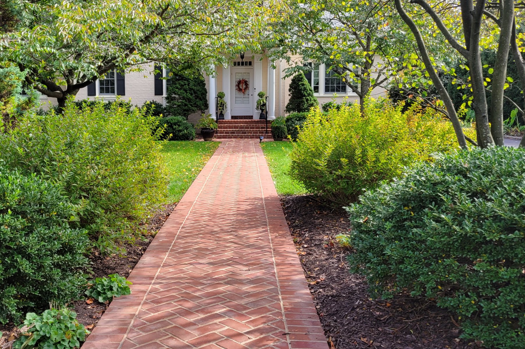  : Autumn : Richmond VA Landscape Designer: Gardens by Monit, LLC: Monit Rosendale landscape designer Richmond and Charlottesville Virginia and Fredericksburg Virginia and Williamsburg Virginia